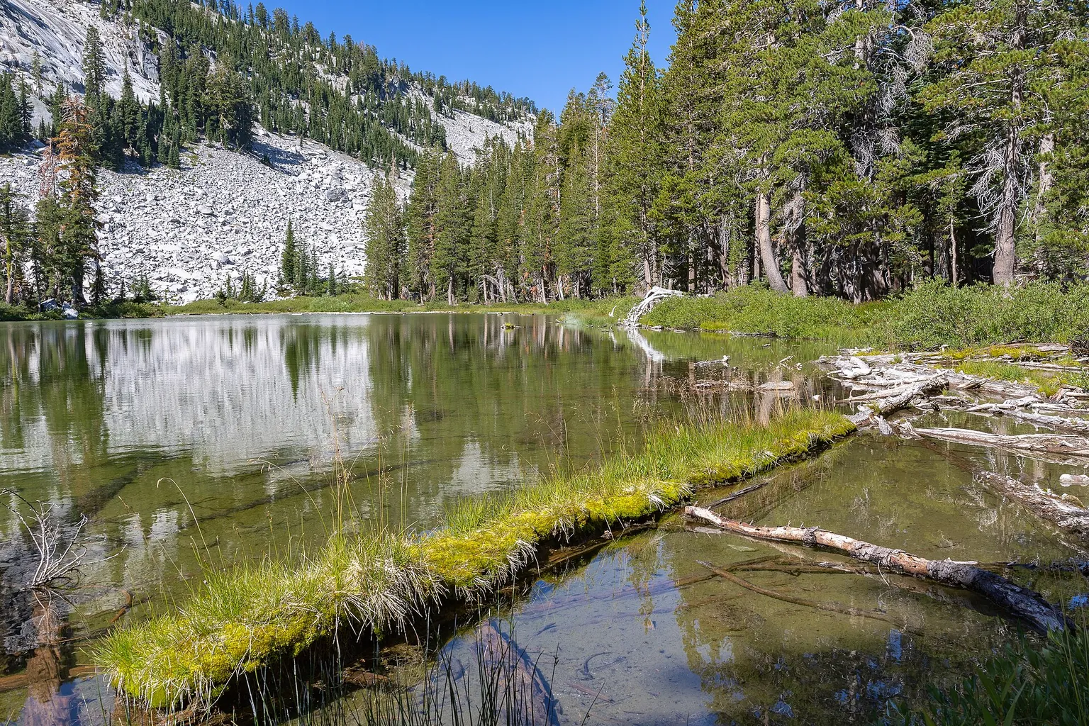 Evergreen trees and rocky slopes reflect in a quiet mountain lake beneath a blue sky.