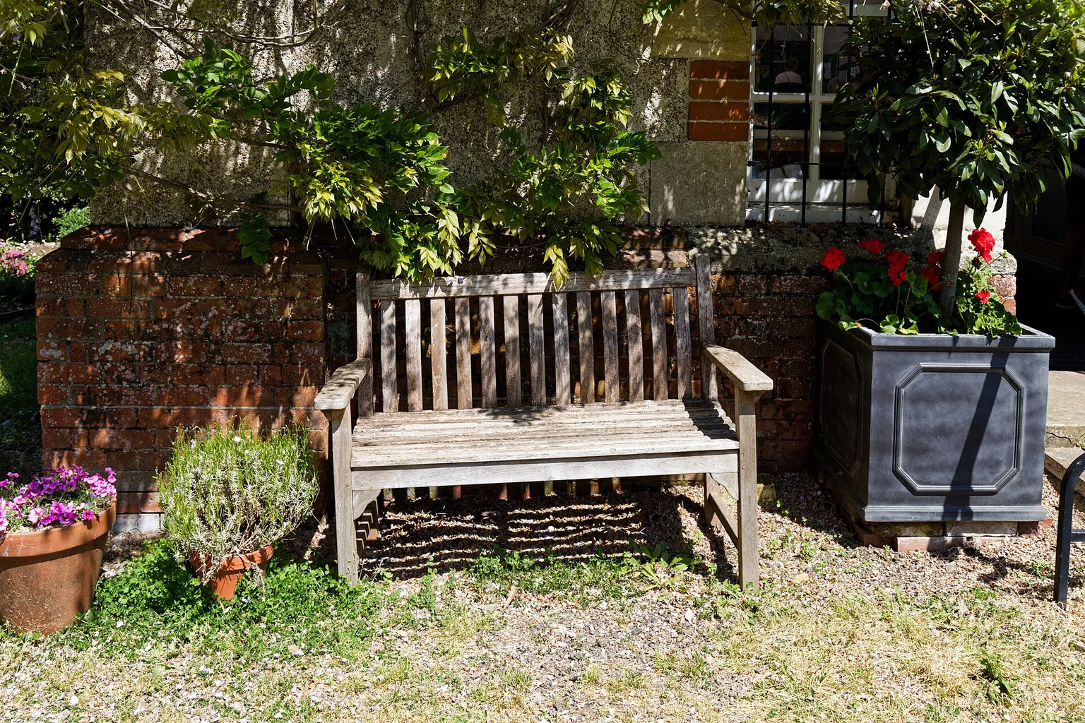 A wooden garden bench sits beside a brick wall, climbing leaves, and planters with A wooden garden bench sits beside a brick wall, climbing leaves, and planters with pink and red flowers.