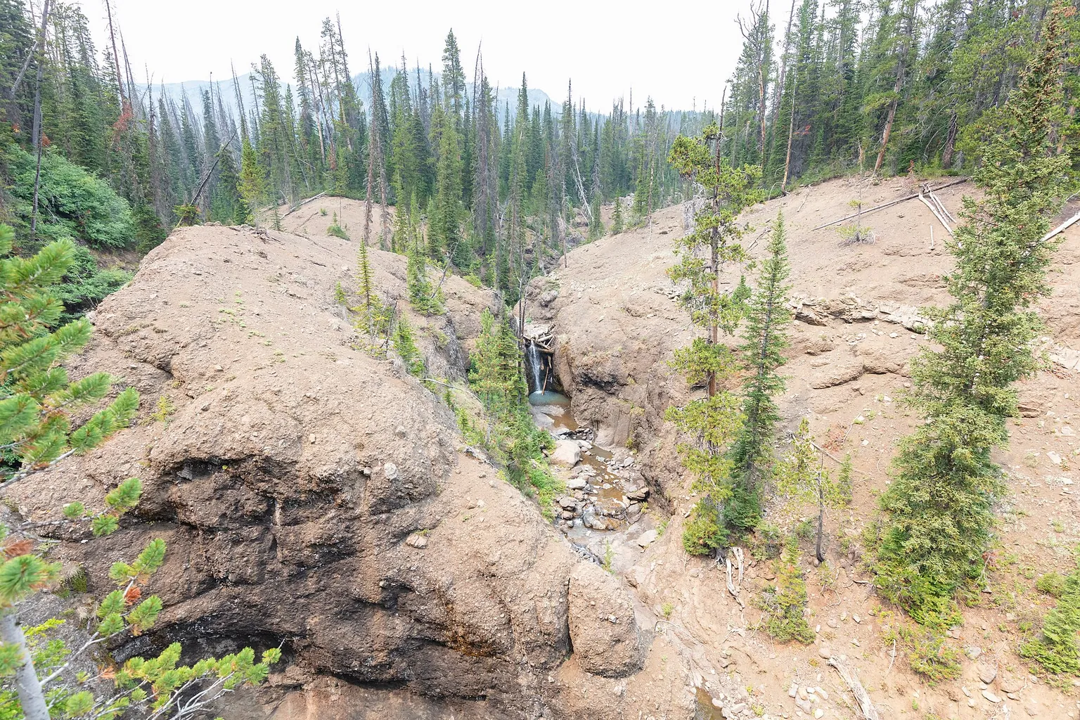 A narrow rocky stream runs between exposed stone slopes, bordered by tall evergreen A narrow rocky stream runs between exposed stone slopes, bordered by tall evergreen trees.