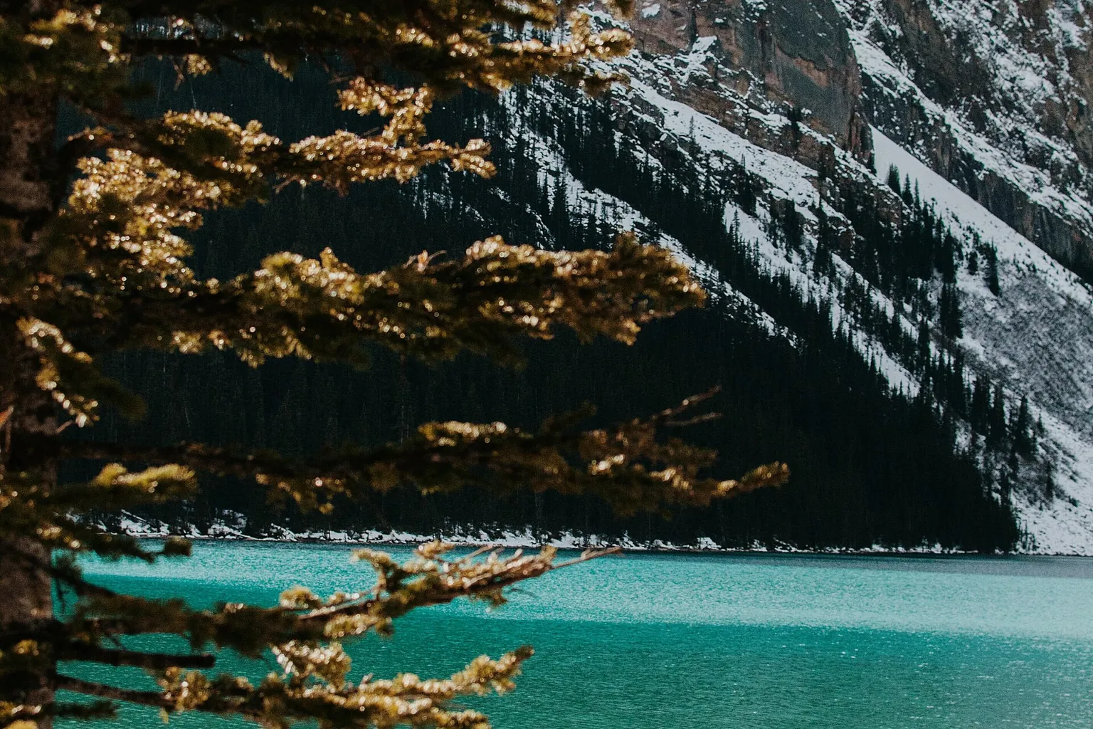 A turquoise lake sits below a snow-streaked mountainside, framed by evergreen branches in the foreground.