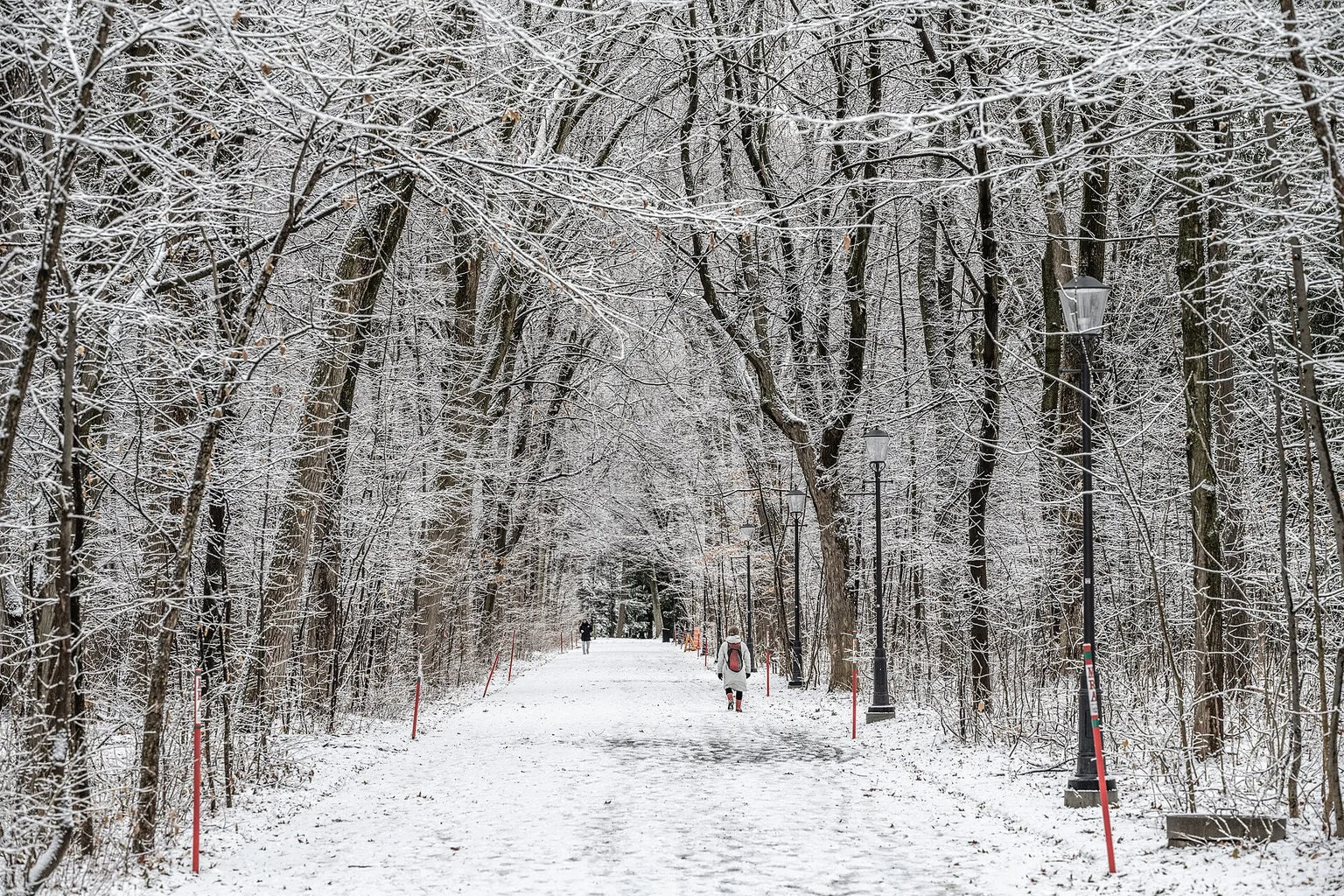 Snow-covered path with lampposts and distant walkers Two distant people walk along a snow-covered path lined with black lampposts and snow-coated branches.
