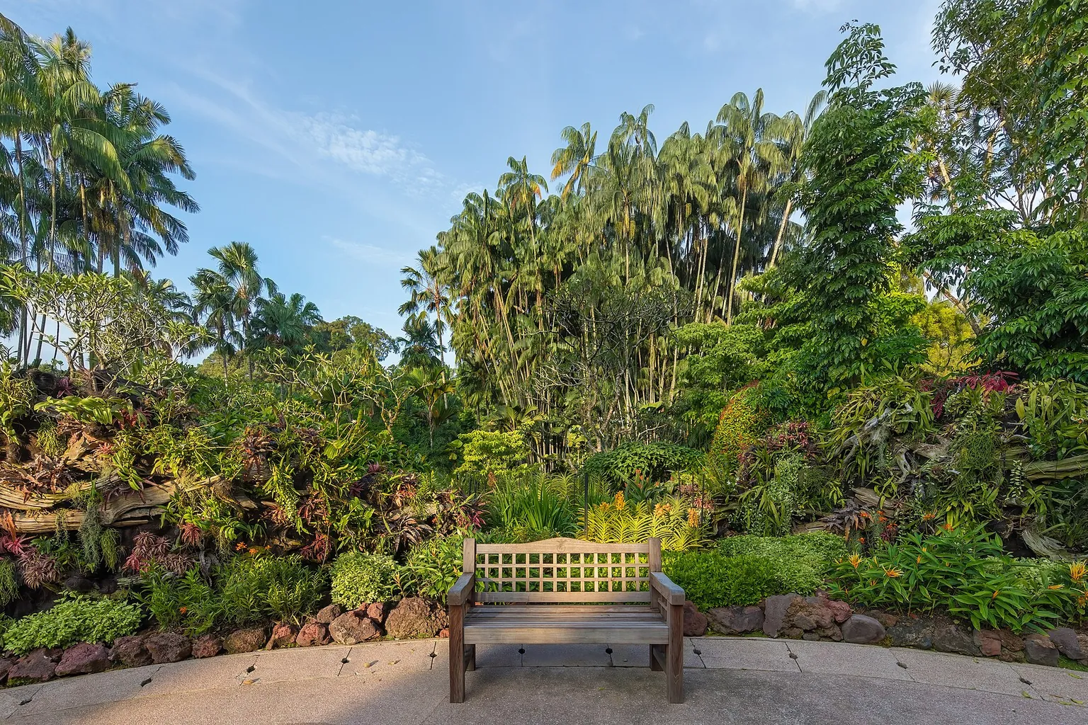 A wooden bench stands on a curved paved garden path, surrounded by palms and bright flowering plants.