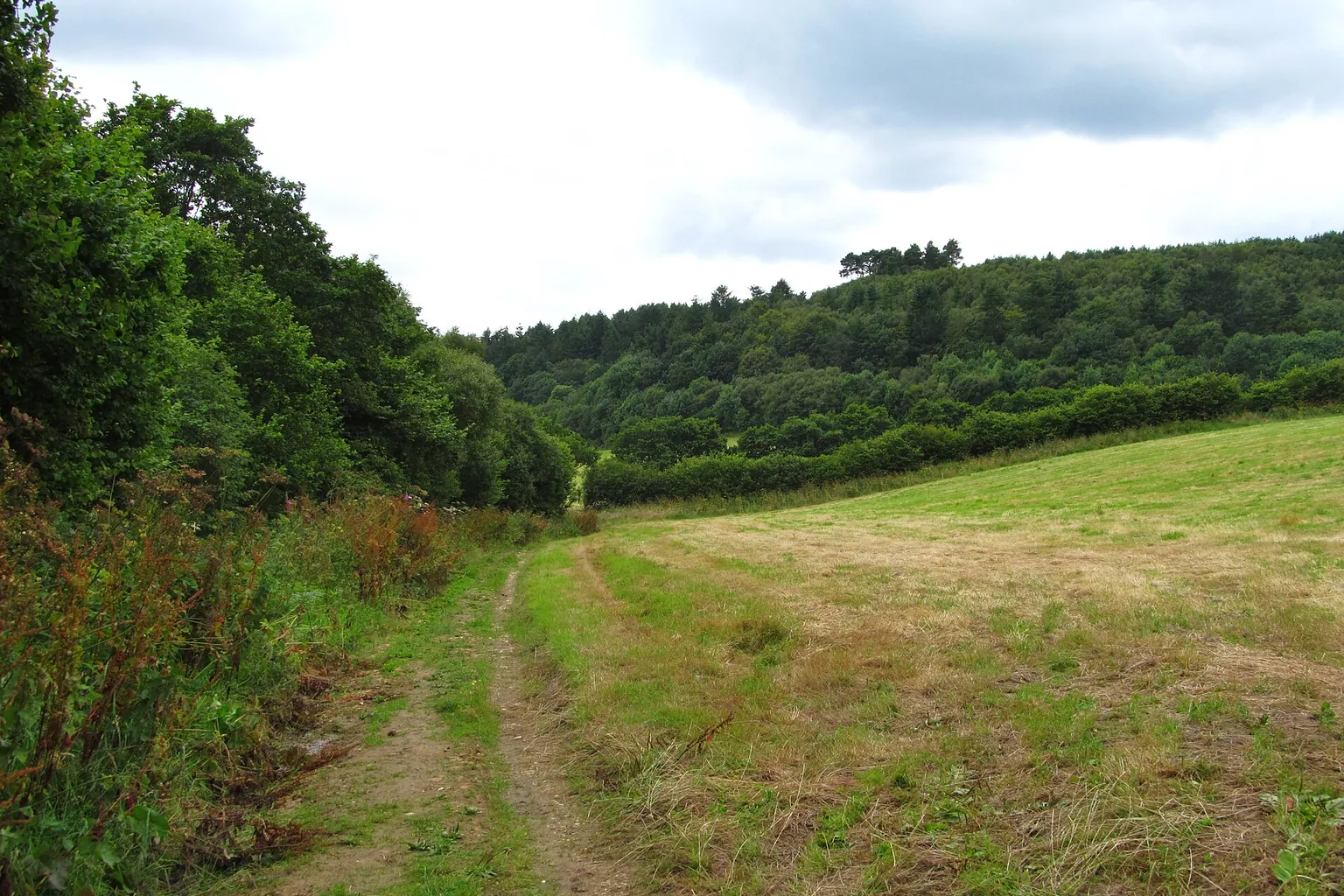 A narrow grassy path follows the edge of a field beside shrubs and trees beneath a cloudy sky.