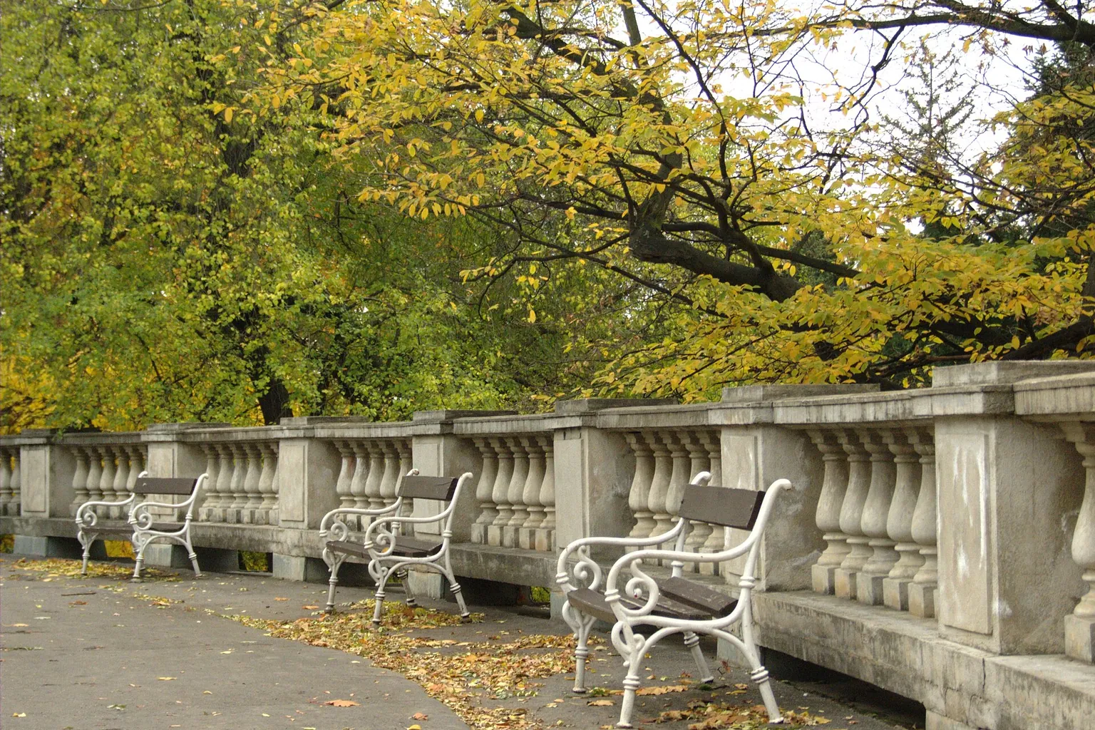 Three empty white metal benches sit beside a pale stone railing beneath yellow-green trees.